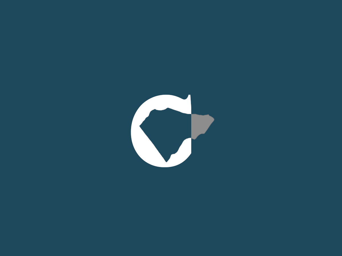 C Politics FPO